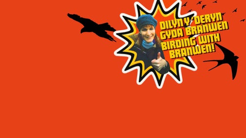 A photo of Branwen sits above an orange background decorated with black birds